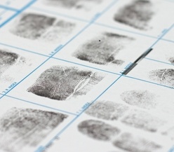 out of state fingerprinting for illinois license